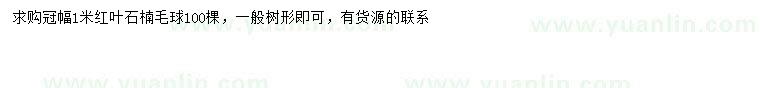 求購(gòu)冠幅1米紅葉石楠球