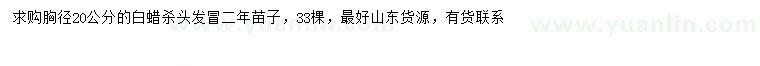 求購胸徑20公分白蠟