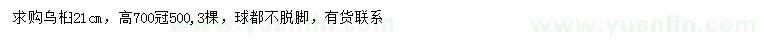 求購21公分烏桕