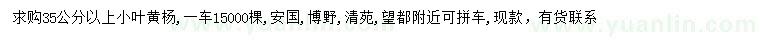 求購35公分以上小葉黃楊