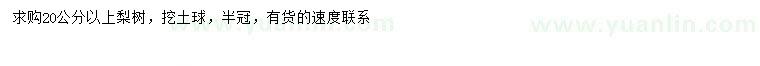 求購20公分以上梨樹