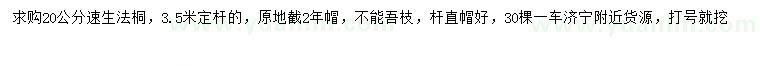 求購(gòu)20公分速生法桐