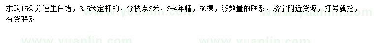 求購(gòu)15公分速生白蠟