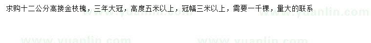 求購12公分高接金枝槐