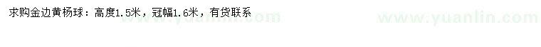 求購冠幅1.6米金邊黃楊球