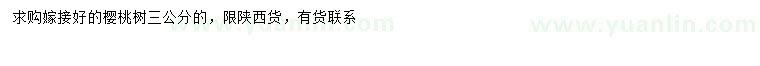 求購3公分櫻桃樹