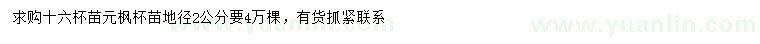 求購地徑2公分元寶楓