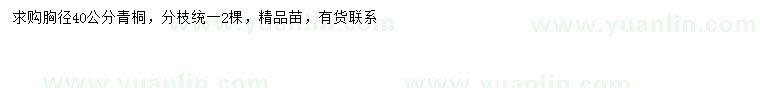 求購胸徑40公分青桐