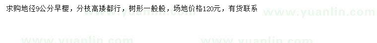 求購地徑9公分早櫻