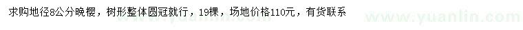 求購地徑8公分晚櫻