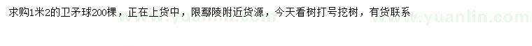 求購(gòu)1.2米衛(wèi)矛球