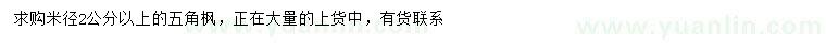 求購(gòu)米徑2公分以上五角楓