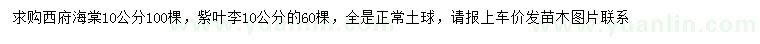 求購10公分西府海棠、紫葉李