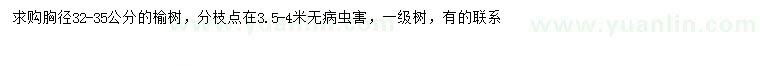 求購(gòu)胸徑32-35公分榆樹(shù)