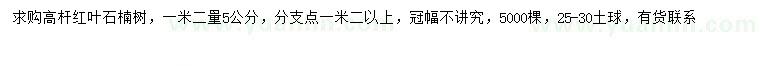 求購1.2量5公分高桿紅葉石楠