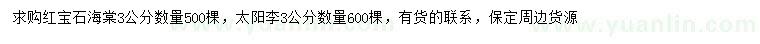 求購(gòu)3公分紅寶石海棠、太陽(yáng)李