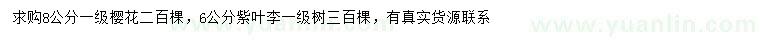 求購8公分櫻花、6公分紫葉李