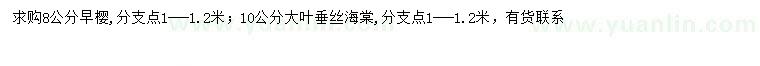 求購8公分早櫻、10公分大葉垂絲海棠