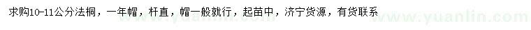 求購10-11公分法桐