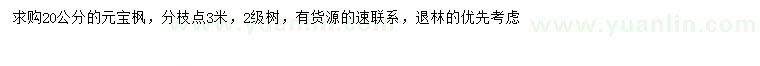 求購20公分元寶楓
