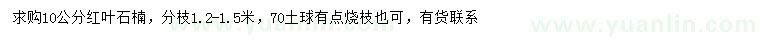 求購(gòu)10公分紅葉石楠