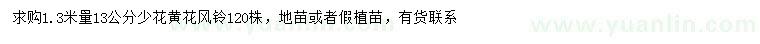 求購1.3米量13公分少花黃花風(fēng)鈴