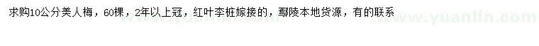 求購(gòu)10公分美人梅