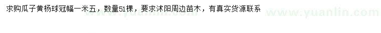 求購冠幅1.5米瓜子黃楊球