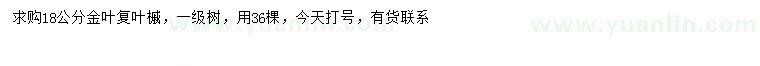 求購18公分金葉復葉槭