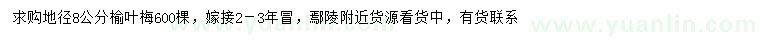 求購地徑8公分榆葉梅