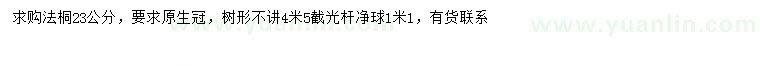 求購23公分法桐