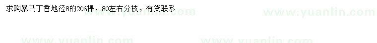 求購地徑8公分暴馬丁香