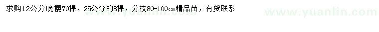 求購12公分晚櫻