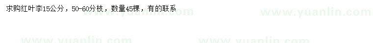 求購15公分紅葉李