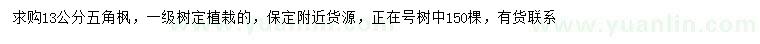 求購13公分五角楓