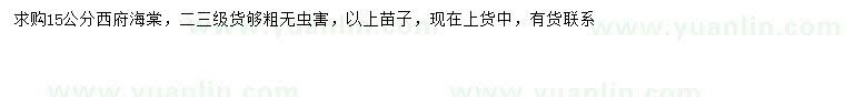 求購15公分西府海棠