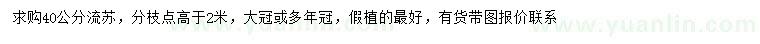 求購(gòu)40公分流蘇
