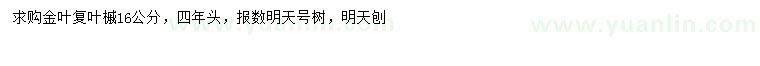 求購16公分金葉復(fù)葉槭