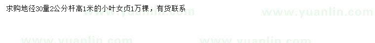 求購30量2公分小葉女貞
