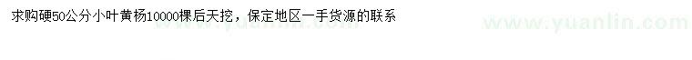 求購50公分小葉黃楊