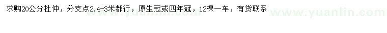 求購20公分杜仲