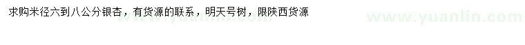 求購米徑6-8公分銀杏