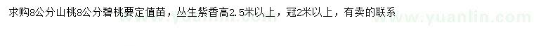 求購(gòu)山桃、碧桃、叢生紫丁香