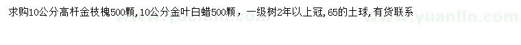 求購10公分高桿金枝槐、金葉白蠟