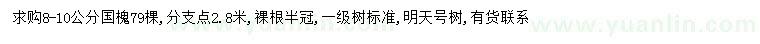求購8-10公分國槐