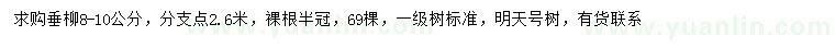 求購8-10公分垂柳