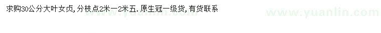 求購(gòu)30公分大葉女貞