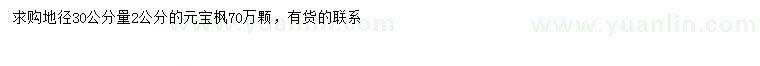 求購30量2公分元寶楓