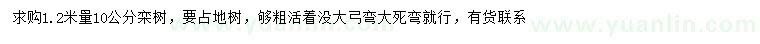 求購(gòu)1.2米量10公分欒樹