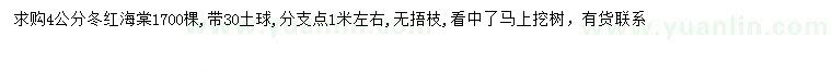 求購4公分冬紅海棠